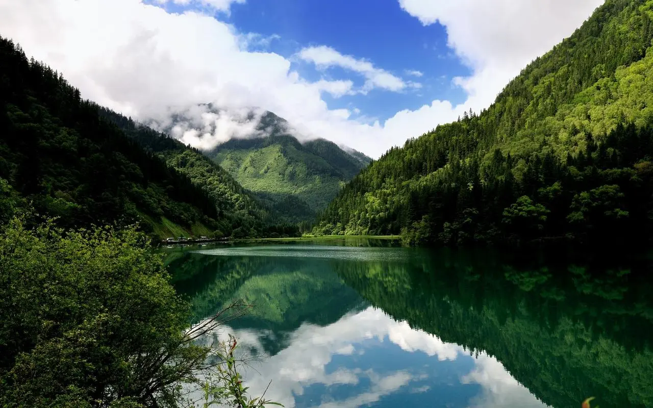 高精度高性能高端